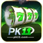 pk11