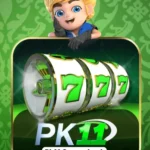 PK11 Game