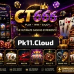 CT666 Game